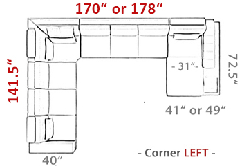 Phoenix-LG-Size